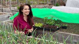 Hardening Off Seedlings With Niki Jabbour [upl. by Gennifer]