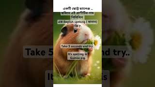 puzzling or confusing english spelling  daily used words  Guinea pig [upl. by Lytle]