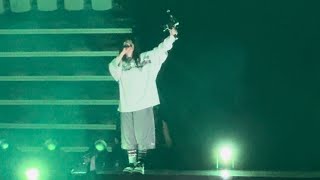 Billie Eilish  everything i wanted Toronto N1 2024 [upl. by Bently]