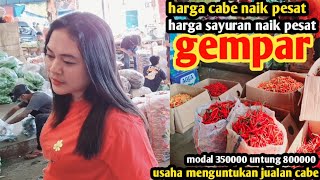 harga cabe naik terus hari inisayuran usahamenjanjikan jualan cabe13 des 2024 [upl. by Natsreik]