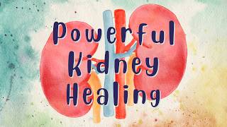 ❋ Kidney Healing and Regeneration  Renal and Urinary System Health  Gentle Rain Sounds [upl. by Stockwell]