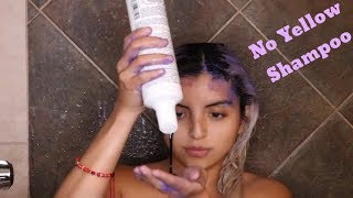 Best Shampoo to Tone Blond Hair  Fanola No Yellow Shampoo Review [upl. by Ised]