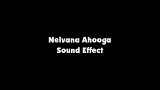 Nelvana Ahooga SFX [upl. by Imoen126]