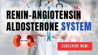 How does the ReninAngiotensinAldosterone System regulate blood pressure [upl. by Rozalie945]