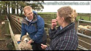 Sheep Drenching worming with Adam Henson [upl. by Coltson175]