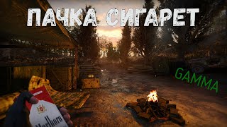 KINO PACHKA SIGARET STALKER ANOMALY GAMMA ВЦОЙ [upl. by Arabela944]