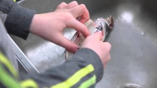 Forel klaarmaken met Viskid [upl. by Ninazan]