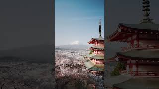 Four seasons in japan travel calm natureaesthetics [upl. by Lauritz215]