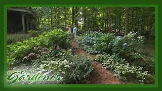 Shade Garden  Volunteer Gardener [upl. by Salter439]