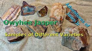 Owyhee Jasper  Samples of Different Varieties [upl. by Noiz]