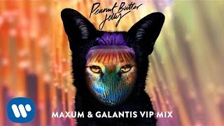 Galantis  Peanut Butter Jelly Maxum amp Galantis VIP Remix [upl. by Rehpotsrik]