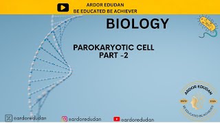 PROKARYOTIC CELL STRUCTURE  PART 2  CELL MEMBRANE  BIOLOGY FOR NET  HTET  CTET PGT BIO [upl. by Cad]