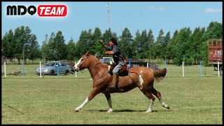 VIDA CAMPESTRE  DESTREZAS CRIOLLAS [upl. by Ane]