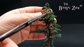 My Mini Bonsai Part 2 The Bonsai Zone Nov 2023 [upl. by Naujid]