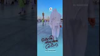 നെബിദിന വേദികളിൽ തരംഗം തീർത്ത് ബാഖവി ഉസ്താദിൻ്റെ quotമദീനയിൽ ചെന്നാൽquot [upl. by Bethezel]