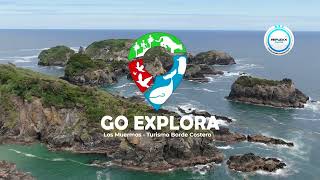 ✪ Tour Pingüineras ✪ Caleta Estaquilla ✪ Los Muermos ✪ Go Explora [upl. by Lewse17]