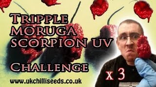 TRIPPLE MORUGA SCORPION UV CHALLENGE [upl. by Loralyn594]