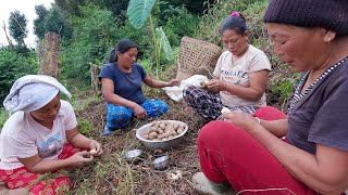 village farming  village women are helping bhumi sarmila bhumicooking [upl. by Abih]