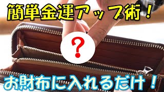 【風水】お財布だけで簡単に出来る金運アップ術１０選！お金持ちや成功者がやっているお金に好かれる財布とは！？ [upl. by Onfre]