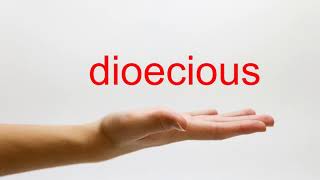 How to Pronounce dioecious  American English [upl. by Enivid]