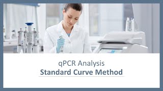 qPCR Analysis  Standard Curve Method [upl. by Aiym]