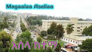 Magaalaa Asellaa  አሰላ ከተማ  asela city  kutaa 1ffaa dawaadhaa  HIRKO MEDIA [upl. by Gaylene]