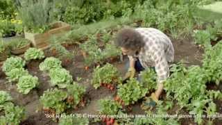 Gamm vert  Le goût du Jardin  Publicité « Où sont les fraises » version Haricot [upl. by Enial]