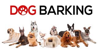 Dogs Barking Sounds To Make Your Dog REACT  34 Breeds Including Yours [upl. by Enoryt]