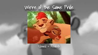 the lion guard  were of the same pride slowed  reverb [upl. by Ahsiekal263]