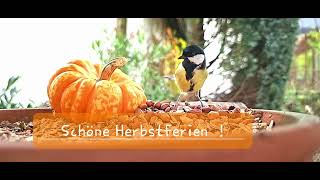 Schöne Herbstferien [upl. by Hadeehsar]