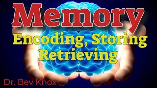 Psychology of Memory Encoding Storing amp Retrieving [upl. by Aruasor]