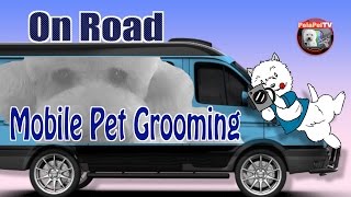 PELUQUERÍA CANINA MÓVIL A DOMICILIO  MOBILE PET GROOMING ON ROAD [upl. by Oiled112]