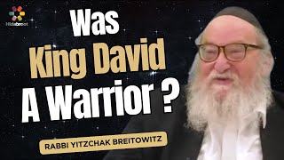 QampA What Was the Legacy of King David Rabbi Yitzchak Breitowitz [upl. by Gipps]