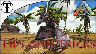 Fast Pteranodon Taming Guide  ARK  Survival Evolved Tips and Tricks [upl. by Gosselin956]