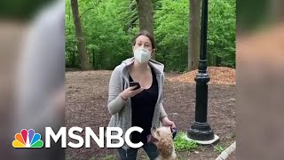 Amy Cooper Faces Charges After Calling Police On Black Bird Watcher In Central Park  MSNBC [upl. by Adnilemreh]