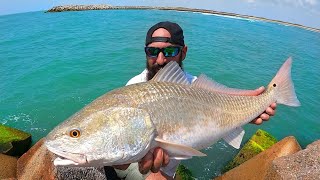 Pesca de Orilla BRUTAL en un Paraíso Mexicano [upl. by Rosemaria]