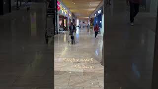 blrairport holidays travel viralvideo sta travel Kanpur 9838582988 [upl. by Amairam]