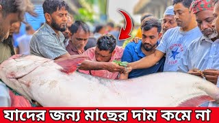 এই লোকগুলোর জন্য মাছের দাম কখনো কমে না। today fish market video [upl. by Llorre]