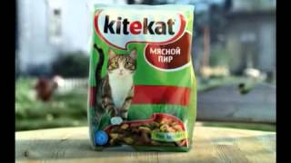 Kitekat Часть 7 [upl. by Socher]