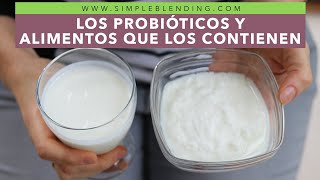 LOS PROBIÓTICOS Y LOS ALIMENTOS QUE LOS CONTIENEN  ¿Qué son los probióticos [upl. by Aramat]