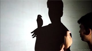 How to Make Bird Shadow By Hand III Amazing Hand Shadow Performance [upl. by Nahtonoj15]