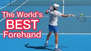 Novak Djokovic Has The Best Forehand In The World Tennis Technique Explained [upl. by Roswald]