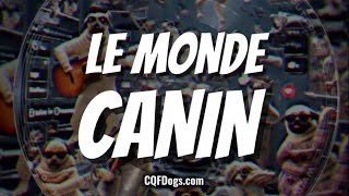 Le Monde Canin [upl. by Steep818]