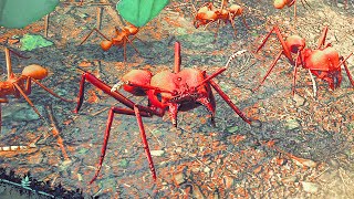 These New Leaf Cutter Ants Destroy Everything in Empires Of The Undergrowth [upl. by Lessig]