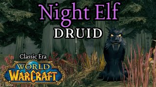 World of Warcraft Classic Era  Night Elf Druid Immersive Playthrough  Cat Form Unlocked  25 [upl. by Aicerg]