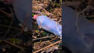 PLASTIC Pollution RAMSAR Ecosystems WHO is RESPONSIBLE [upl. by Nonnahsal]