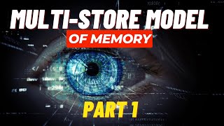 MultiStore Model of Memory  Part 1  AQA Psychology [upl. by Ihculo]