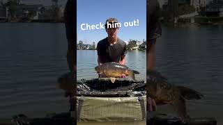 Check out thing amazing angler Rubenthefisherman comment the weight fishing carpfish carps [upl. by Otit]