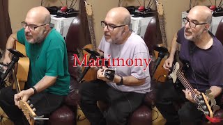 Matrimony  Gilbert OSullivan cover [upl. by Hgieliak]