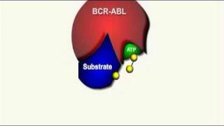 Gleevec Mechanism of Action [upl. by Ennoryt576]